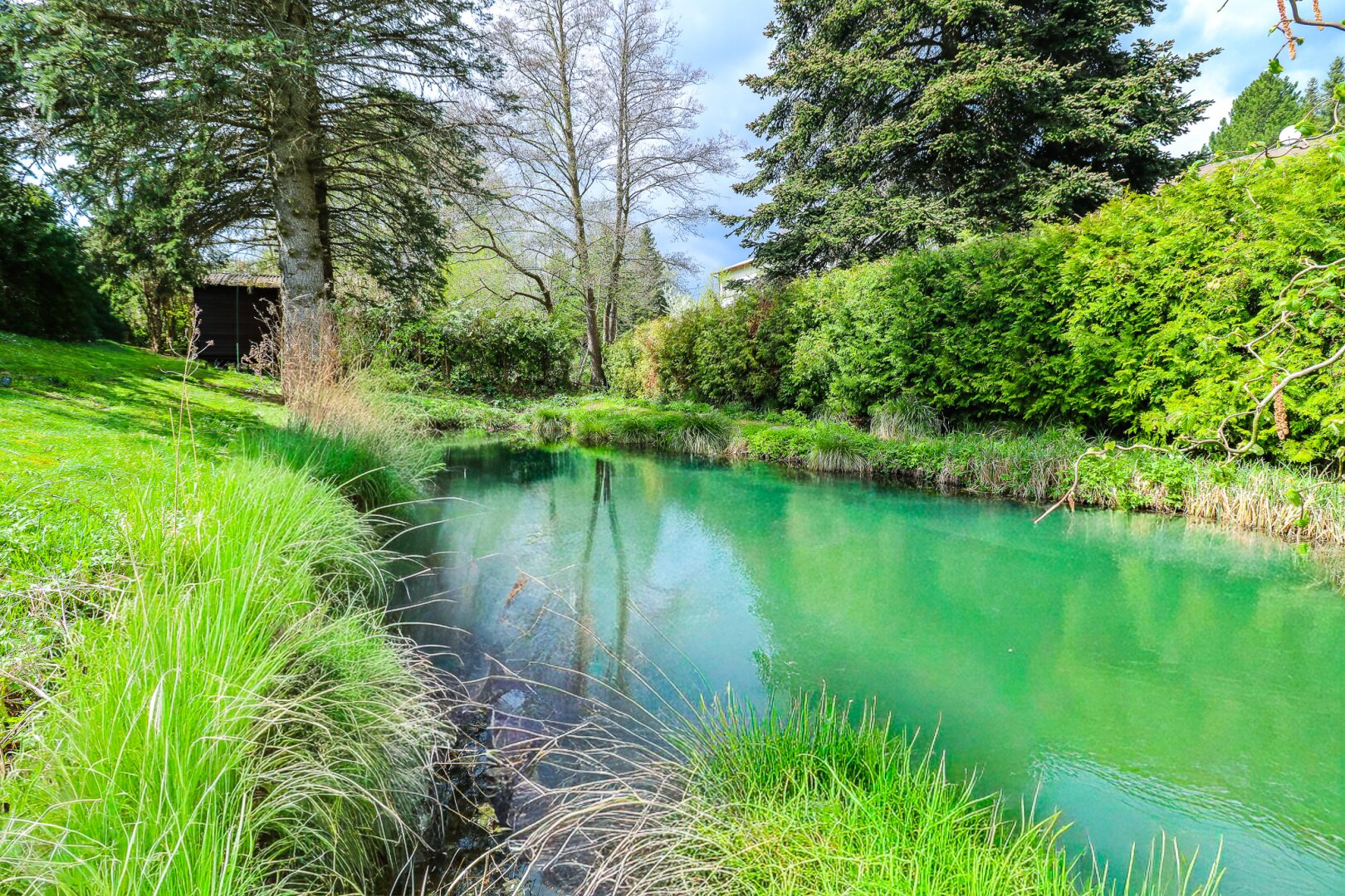 Einzigartiges Zuhause (345 m² Nfl.) mit Wintergarten, Naturteichen & Fernblick im Wienerwald