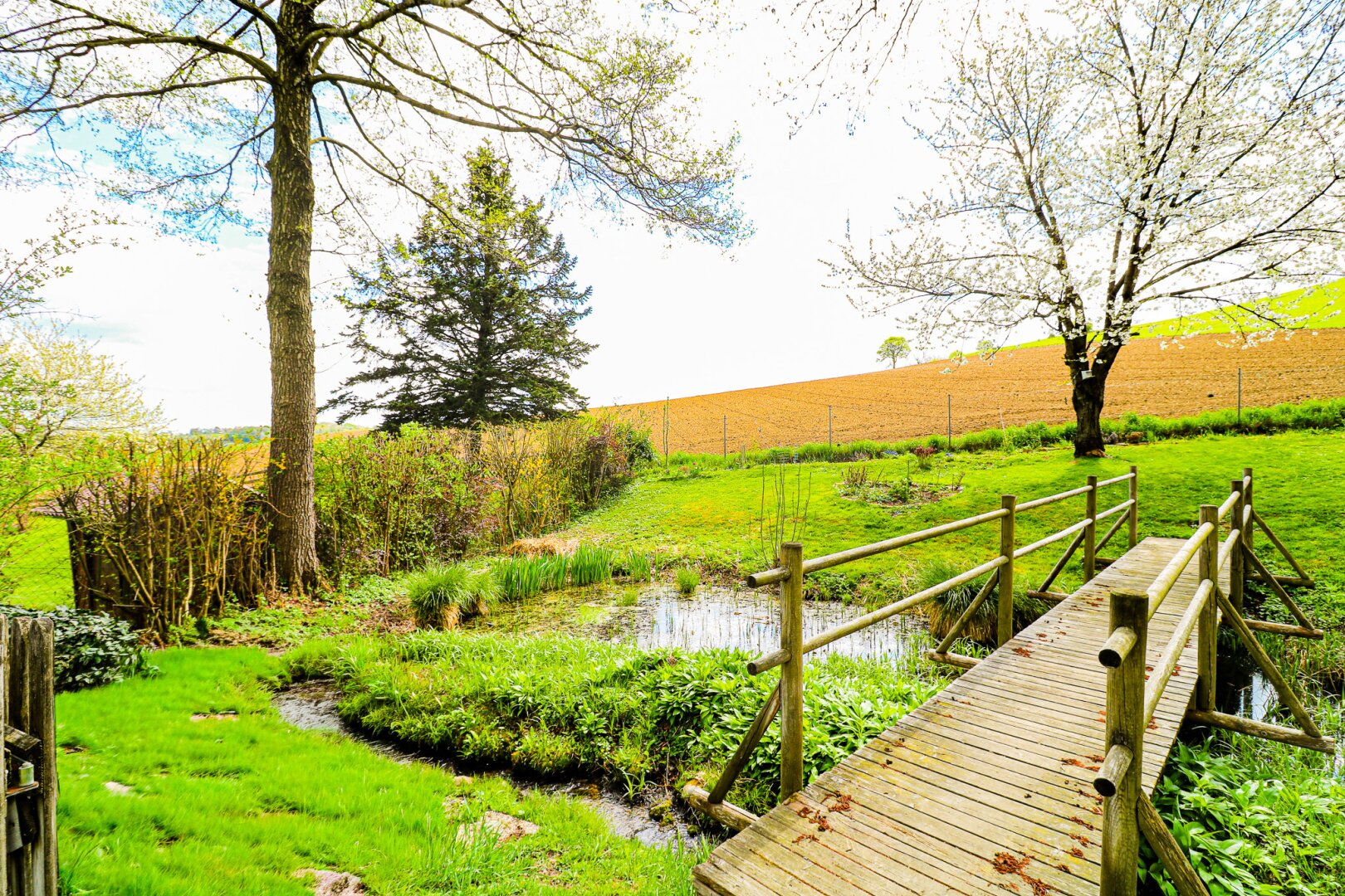 Einzigartiges Zuhause (345 m² Nfl.) mit Wintergarten, Naturteichen & Fernblick im Wienerwald
