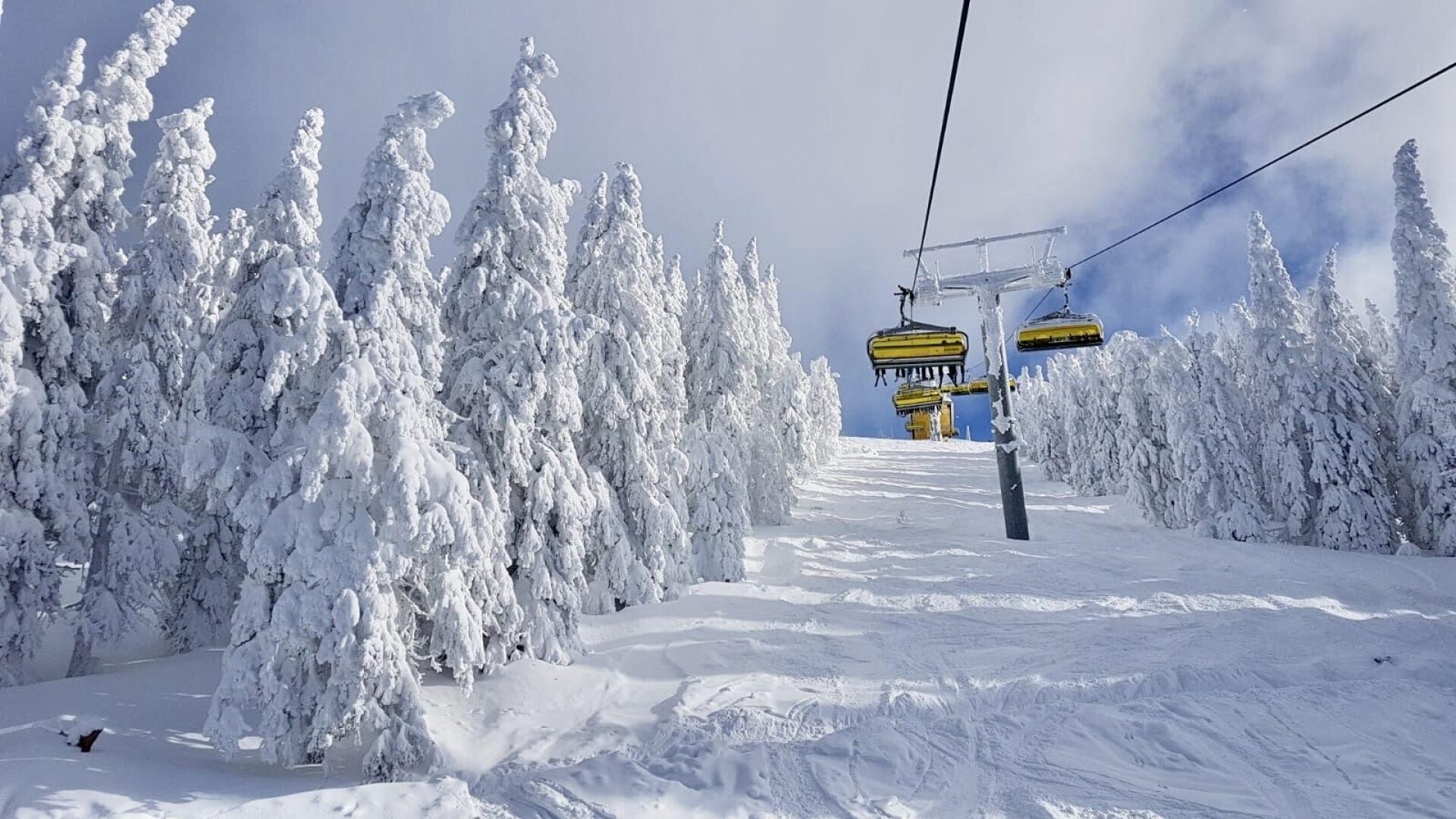 AUF NACH SCHLADMING - Koffer packen und einziehen