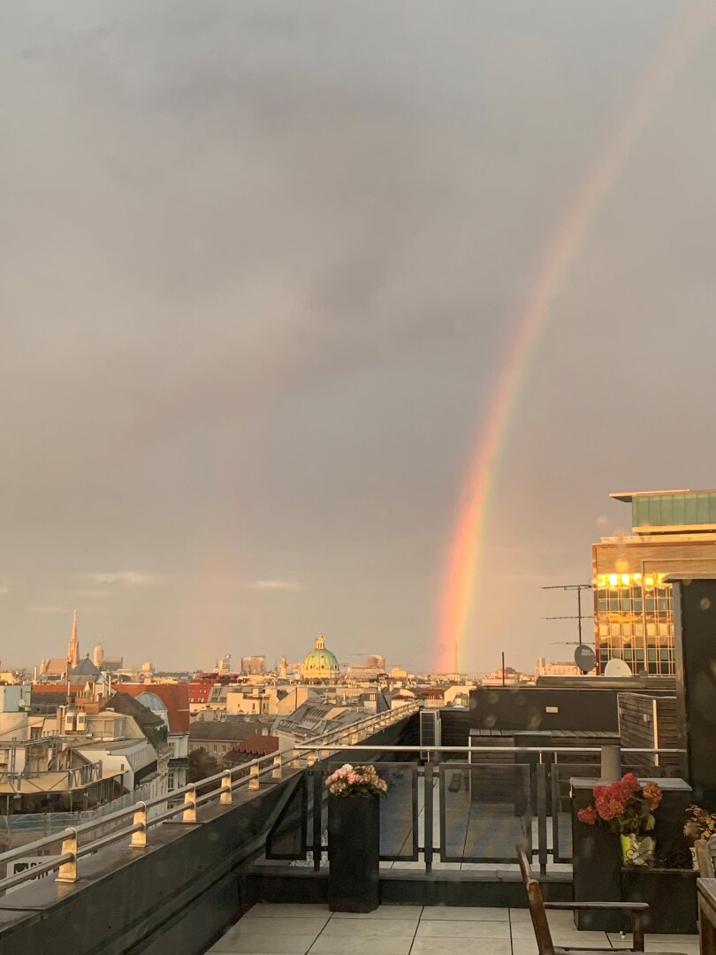 Exklusive Dachgeschoßwohnung mit Rooftop-Pool, Panorama-Terrassen, Sauna & spektakulärem Wienblick