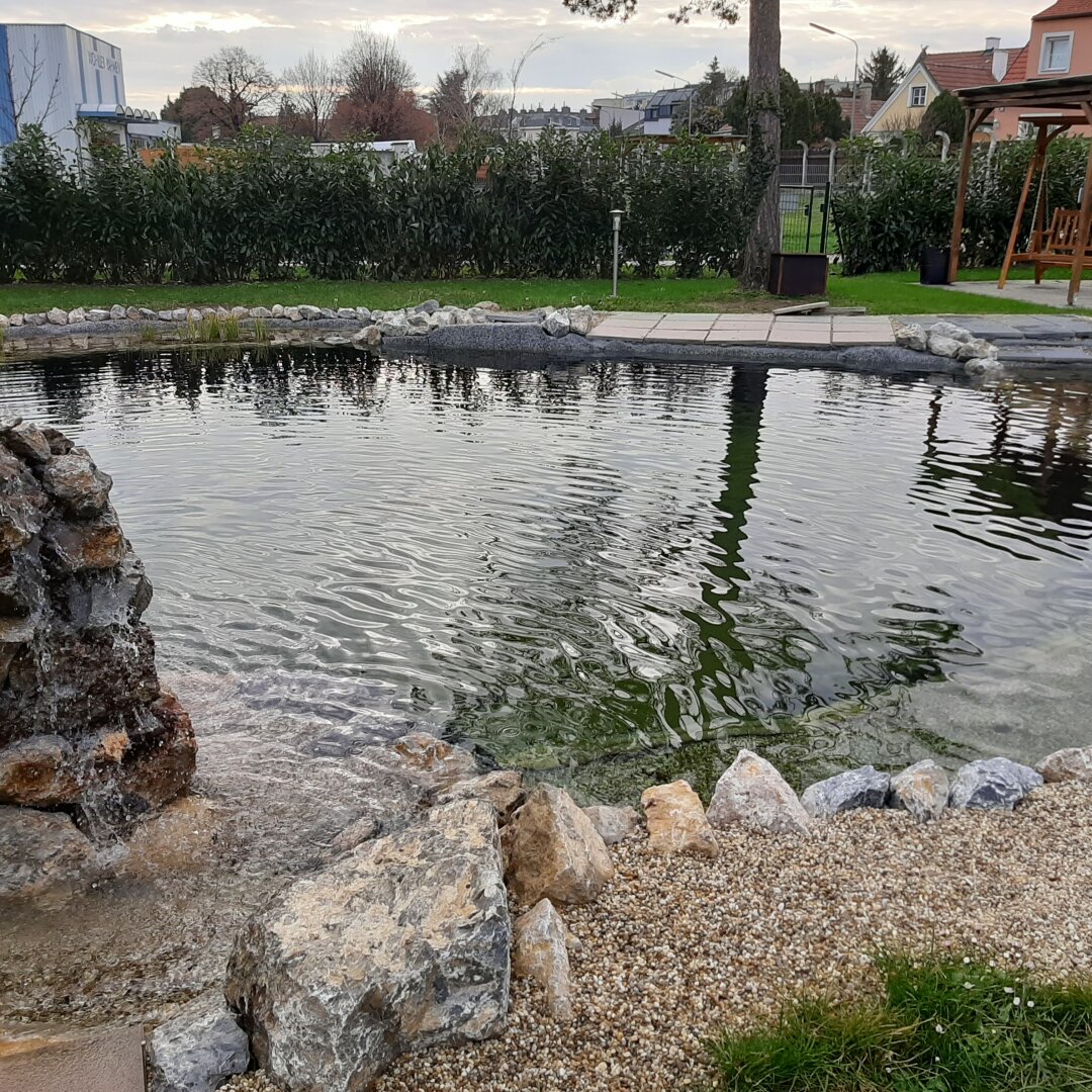 wo gibt es das noch ein Schwimmbiotop im Garten