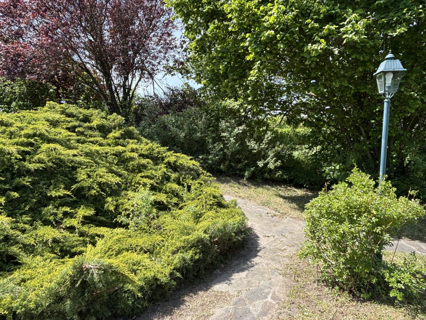 Charmanter Bungalow mit 3 Zimmern im idyllischen Illmitz auf 992 m² Eigengrund!