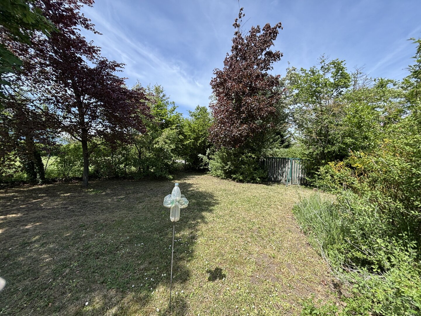 Charmanter Bungalow mit 3 Zimmern im idyllischen Illmitz auf 992 m² Eigengrund!