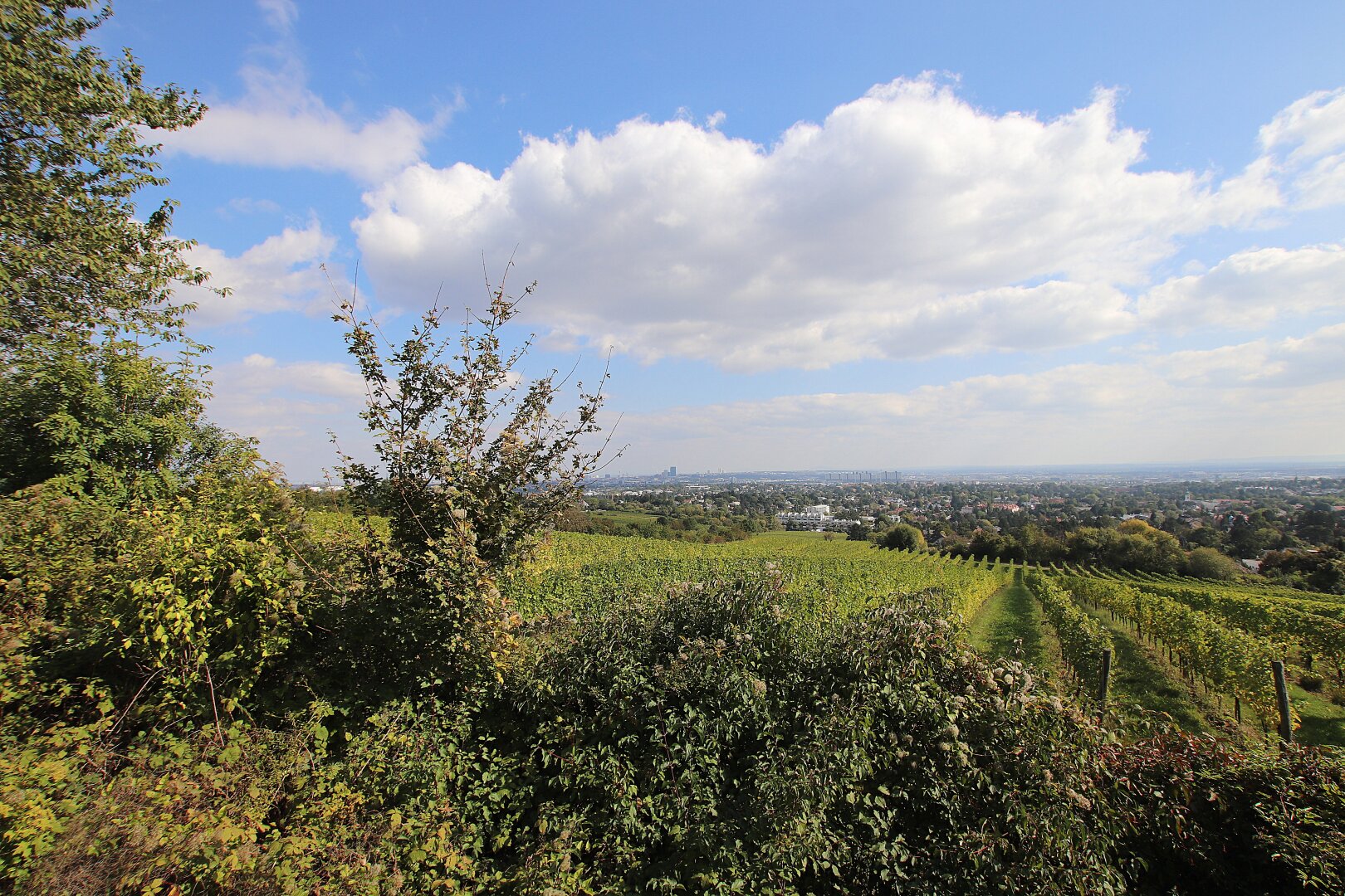 Eigengrund: Grünland mit Gartenhaus - Großes Grundstück in Mauer am Kadoltsberg - direkt am Lainzer Tiergarten
