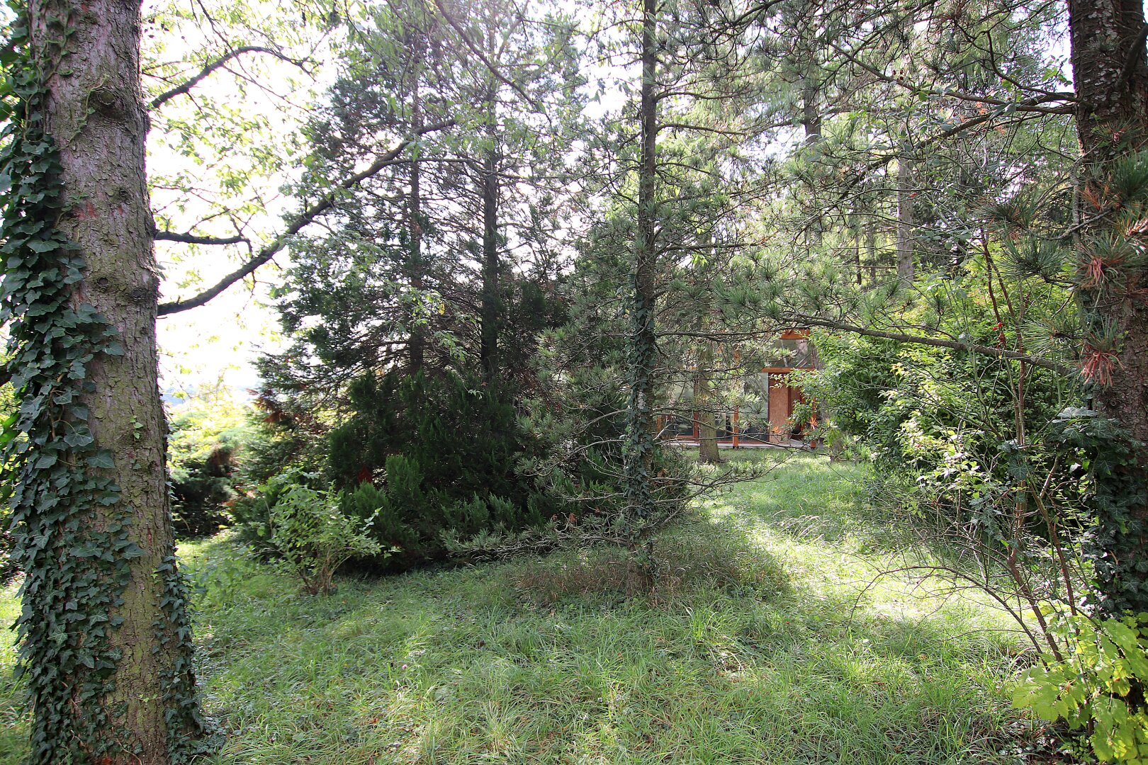 Eigengrund: Grünland mit Gartenhaus - Großes Grundstück in Mauer am Kadoltsberg - direkt am Lainzer Tiergarten