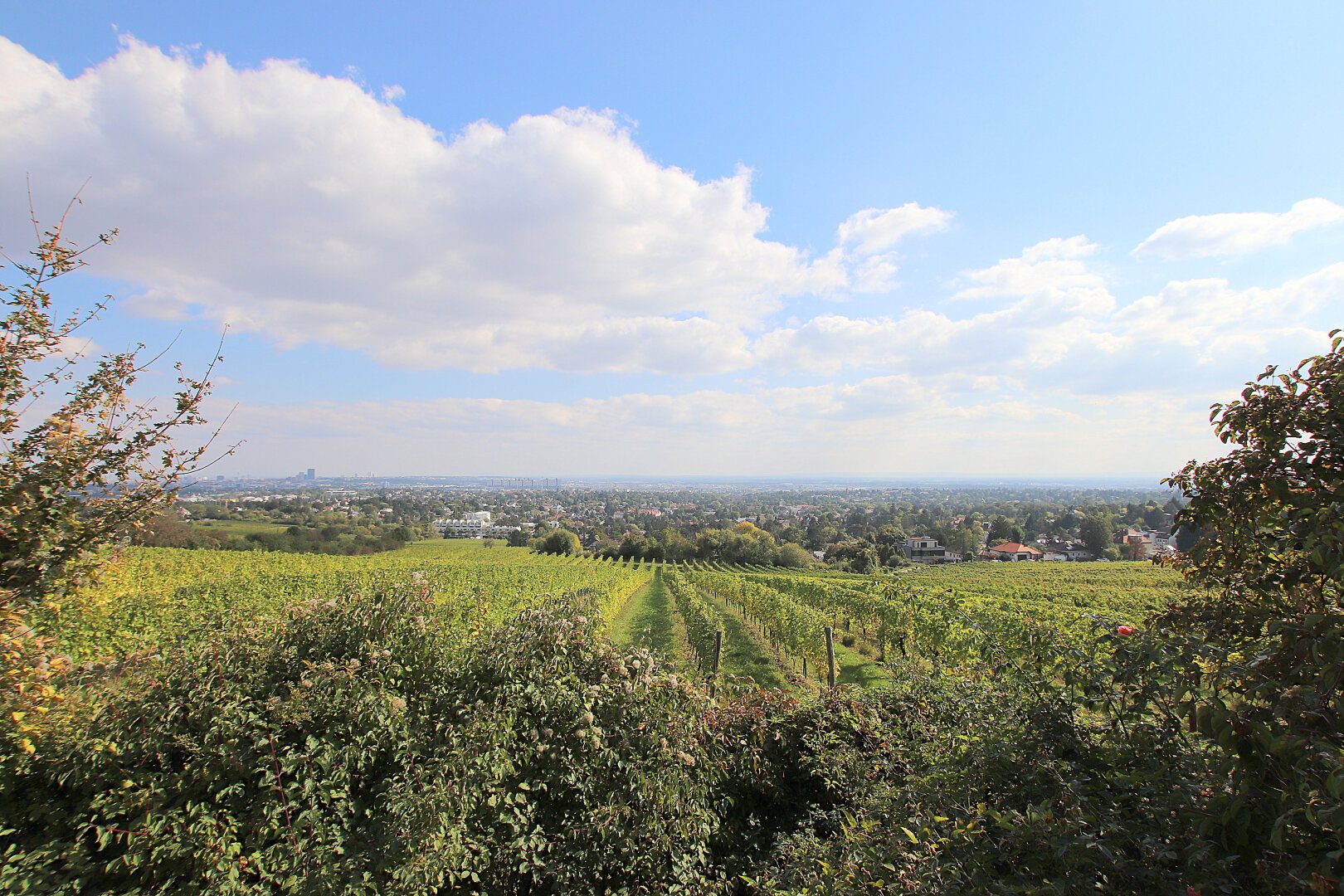 Eigengrund: Grünland mit Gartenhaus - Großes Grundstück in Mauer am Kadoltsberg - direkt am Lainzer Tiergarten