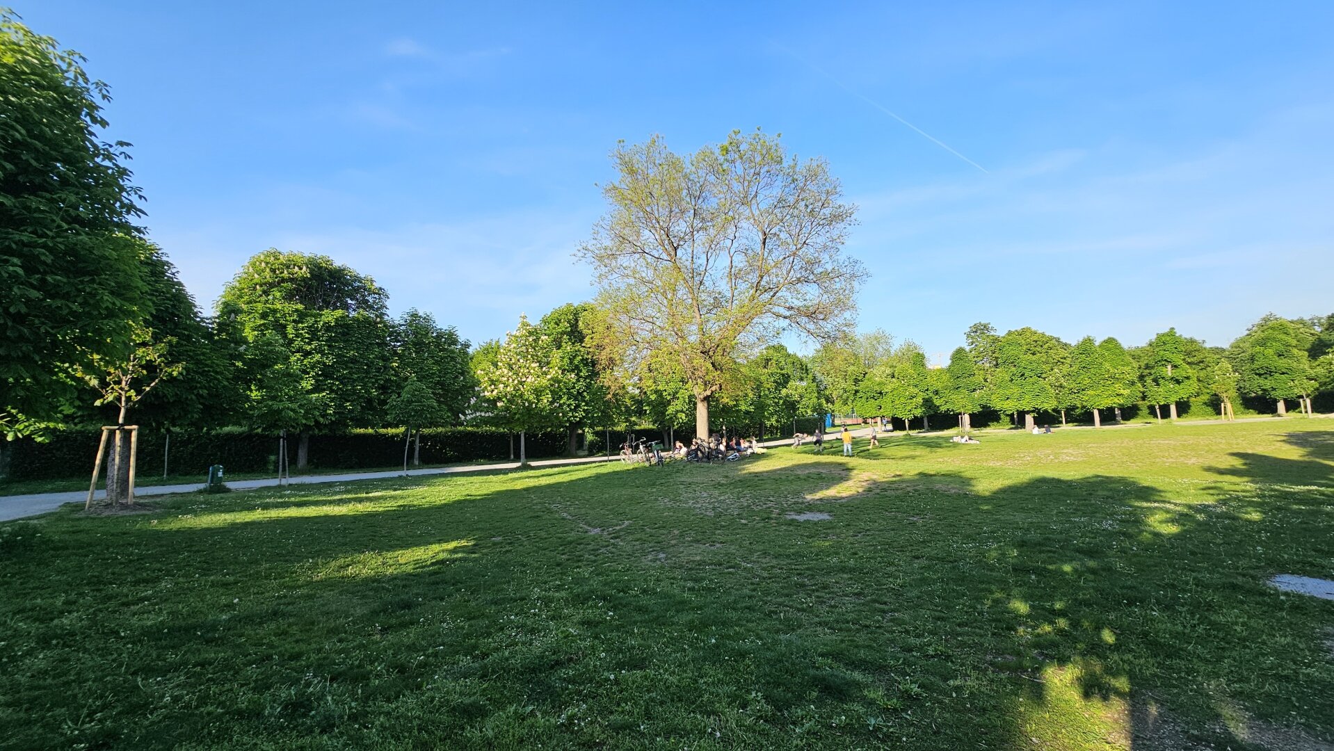 Im Augarten