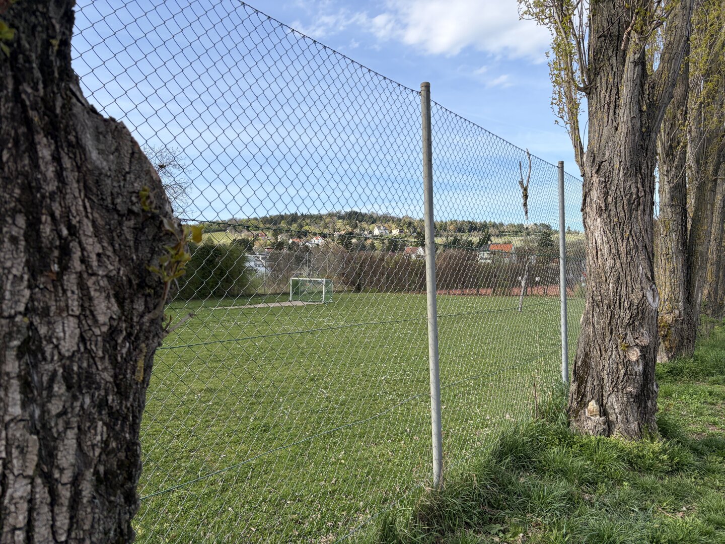 Blick auf den Bisamberg