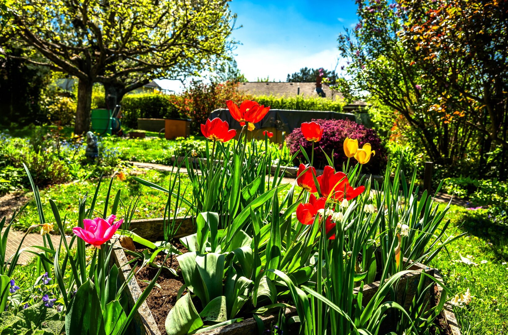 Garten