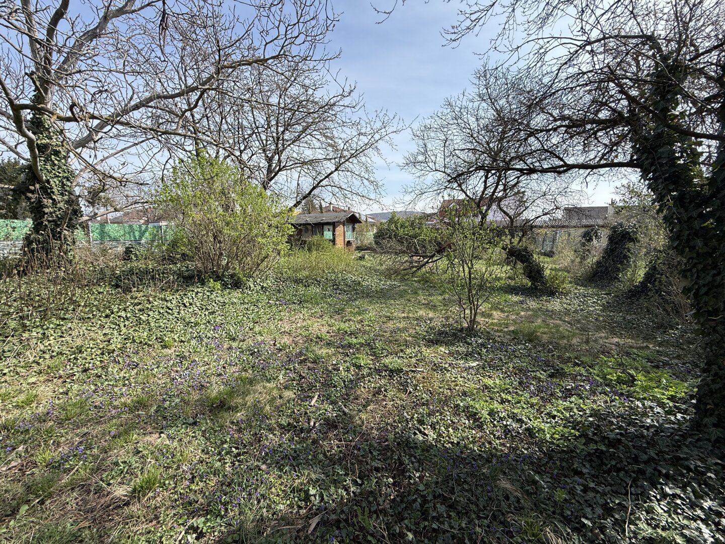 1- oder 2-Familienhaus mit Zusatz-Grundstück nahe Wien