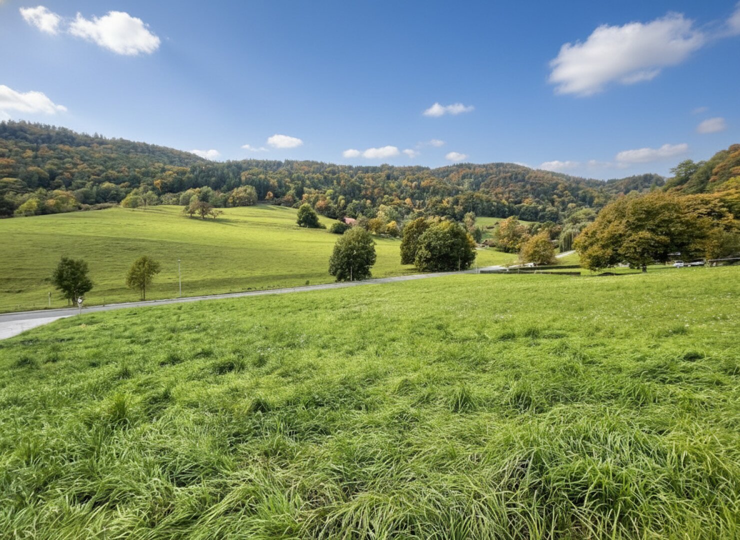 Attraktiver Bauplatz mit idyllischem Grünblick