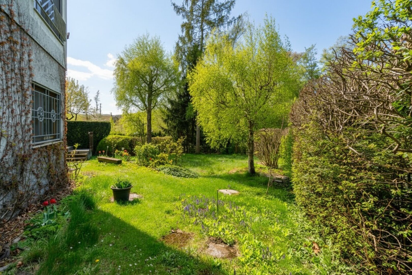 wunderschöner Garten