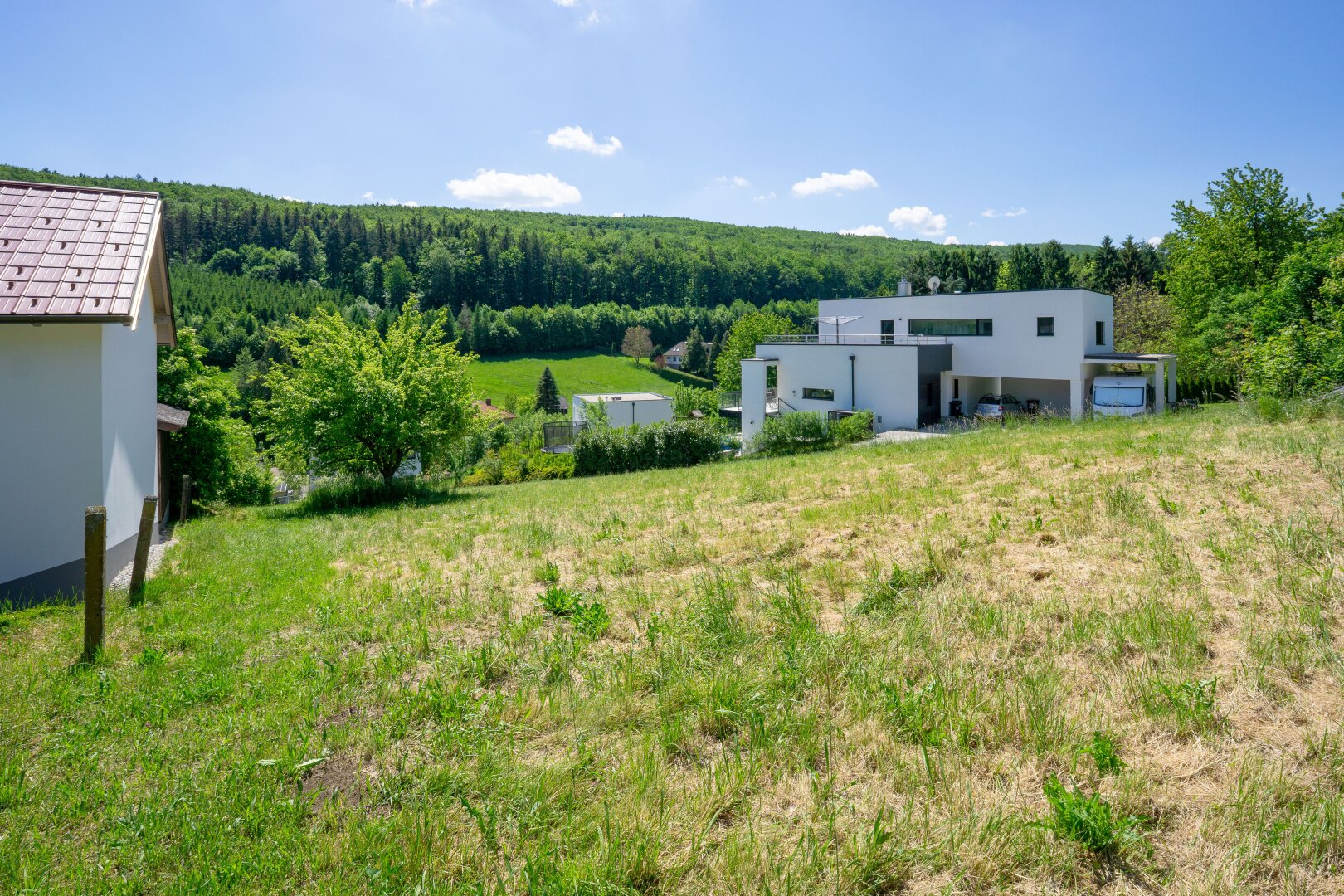 Blick über das Grundstück nach Süden