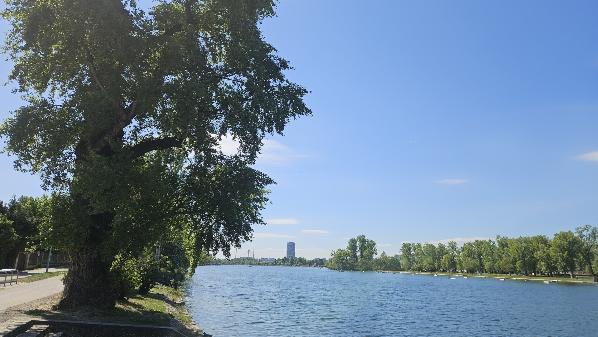 Ruhige sonnige 2-Zimmer-Wohnung mit Potenzial - PRAGER STRASSE