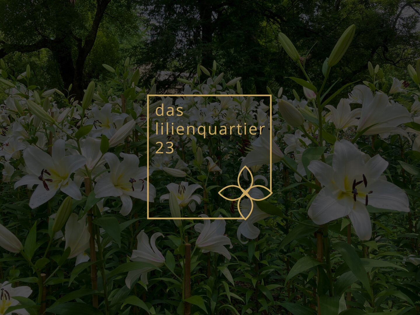 DAS LILIENQUARTIER 23 | Eckreihenhaus 'VIERZEHN D' | Provisionsfrei & € 20.000,00 Sonderaktion