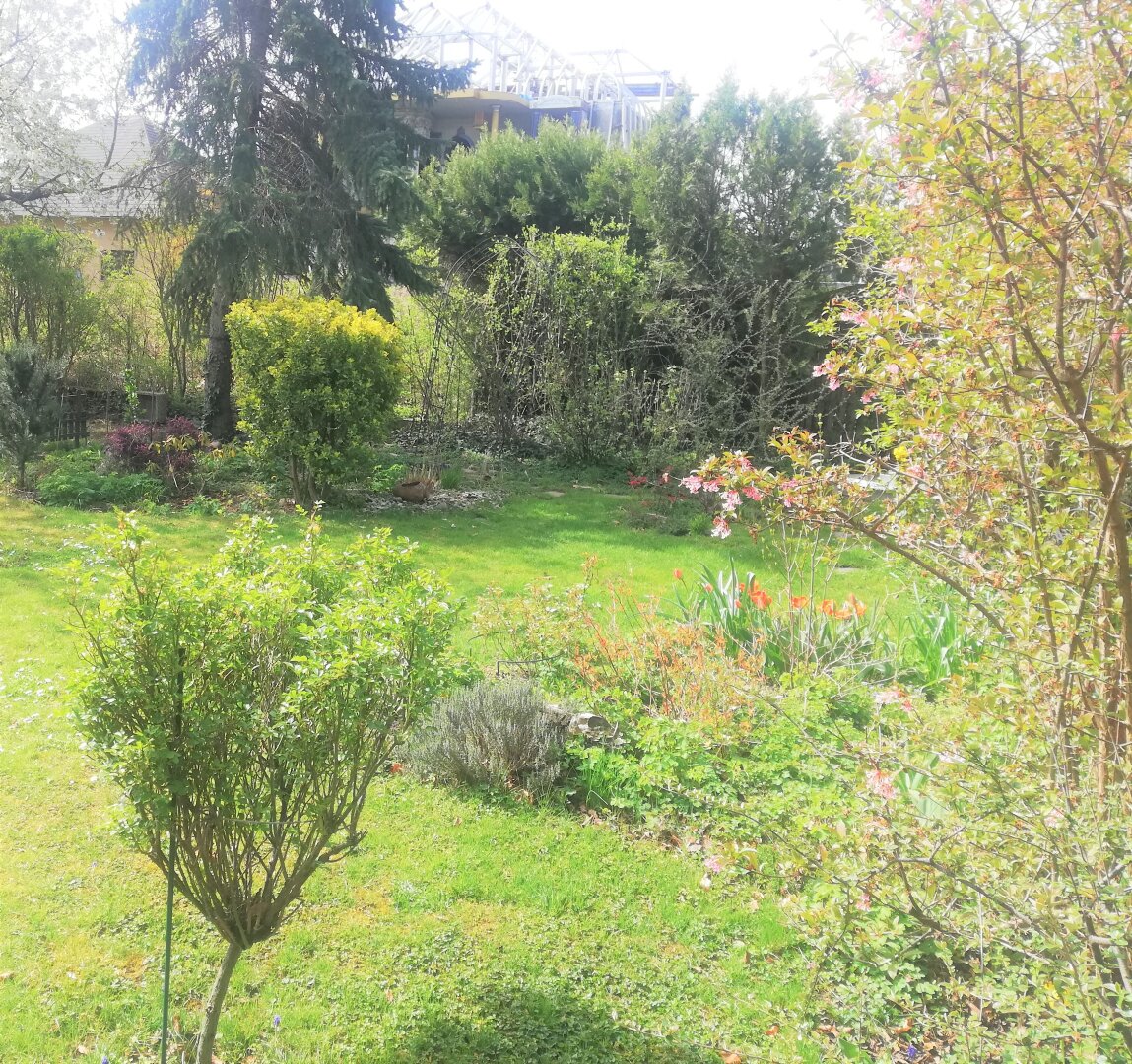 Gepflegte, voll unterkellerte Doppelhaushälfte mit Wintergarten in absoluter Grünruhelage von Korneuburg zu vermieten!