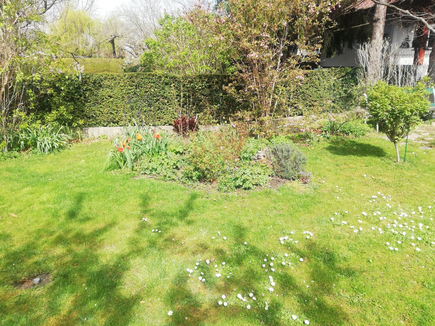 Gepflegte, voll unterkellerte Doppelhaushälfte mit Wintergarten in absoluter Grünruhelage von Korneuburg zu vermieten!