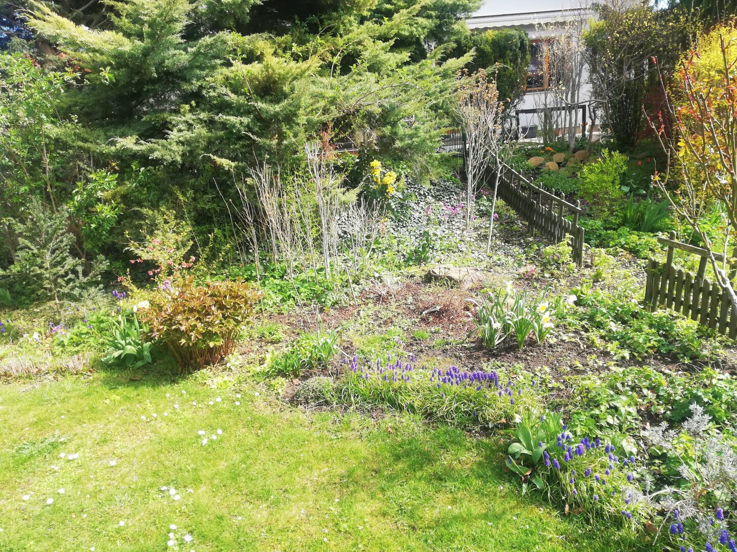 Gepflegte, voll unterkellerte Doppelhaushälfte mit Wintergarten in absoluter Grünruhelage von Korneuburg zu vermieten!