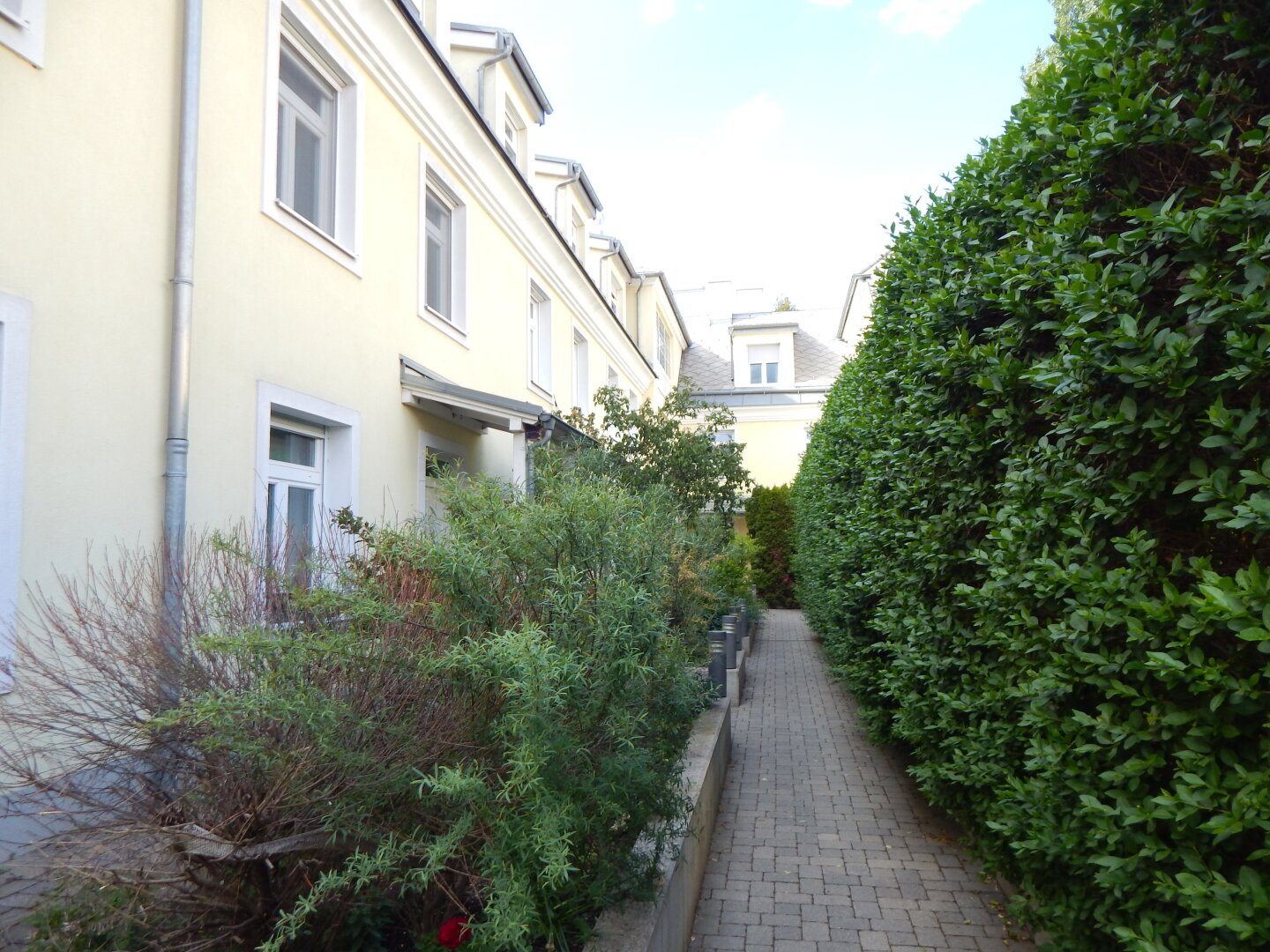 Wohntraum mit großer Dachterrasse und Garage in Grün- Ruhelage