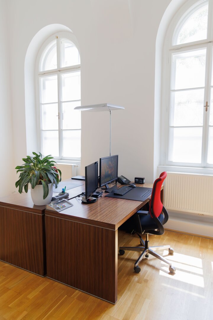 Shared Office / CO-Working -  Palais Zollamt - ALL IN