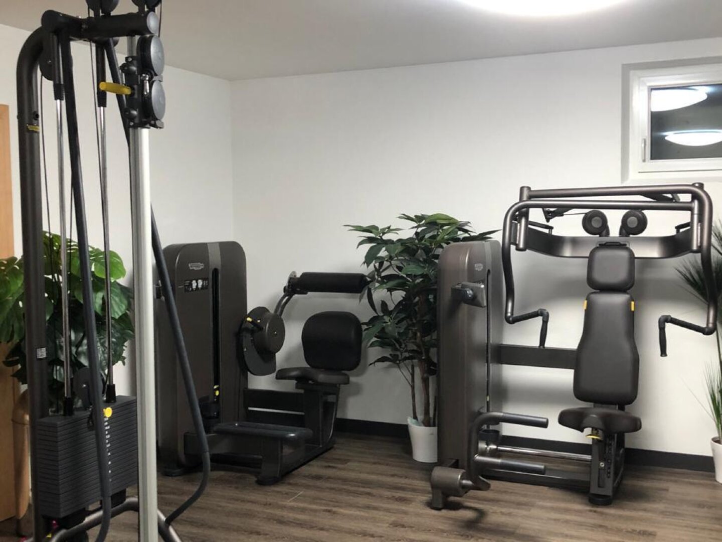 Villa auf fast 8000m2 mit eigenem Fitness-Studio, 3 Garagen, Carport, etc.