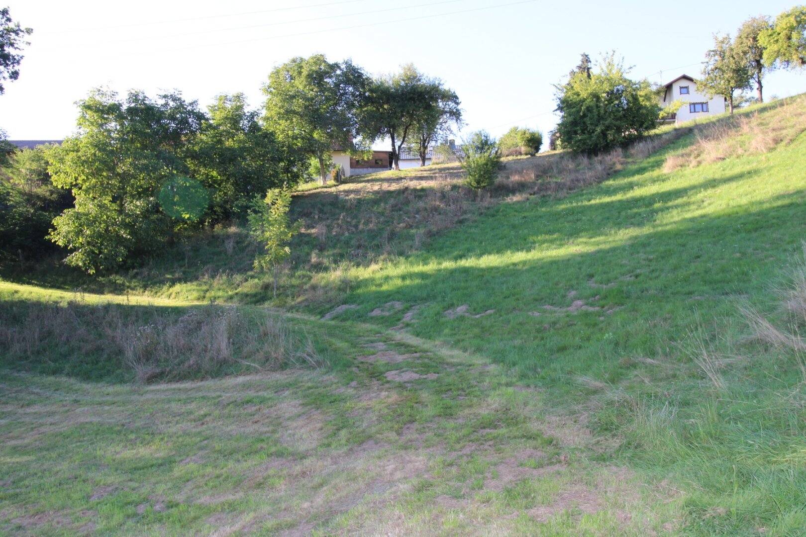 Sacherl/kleine Landwirtschaft in St. Agatha mit ca. 3 Hektar auch für Pferdehaltung geeignet