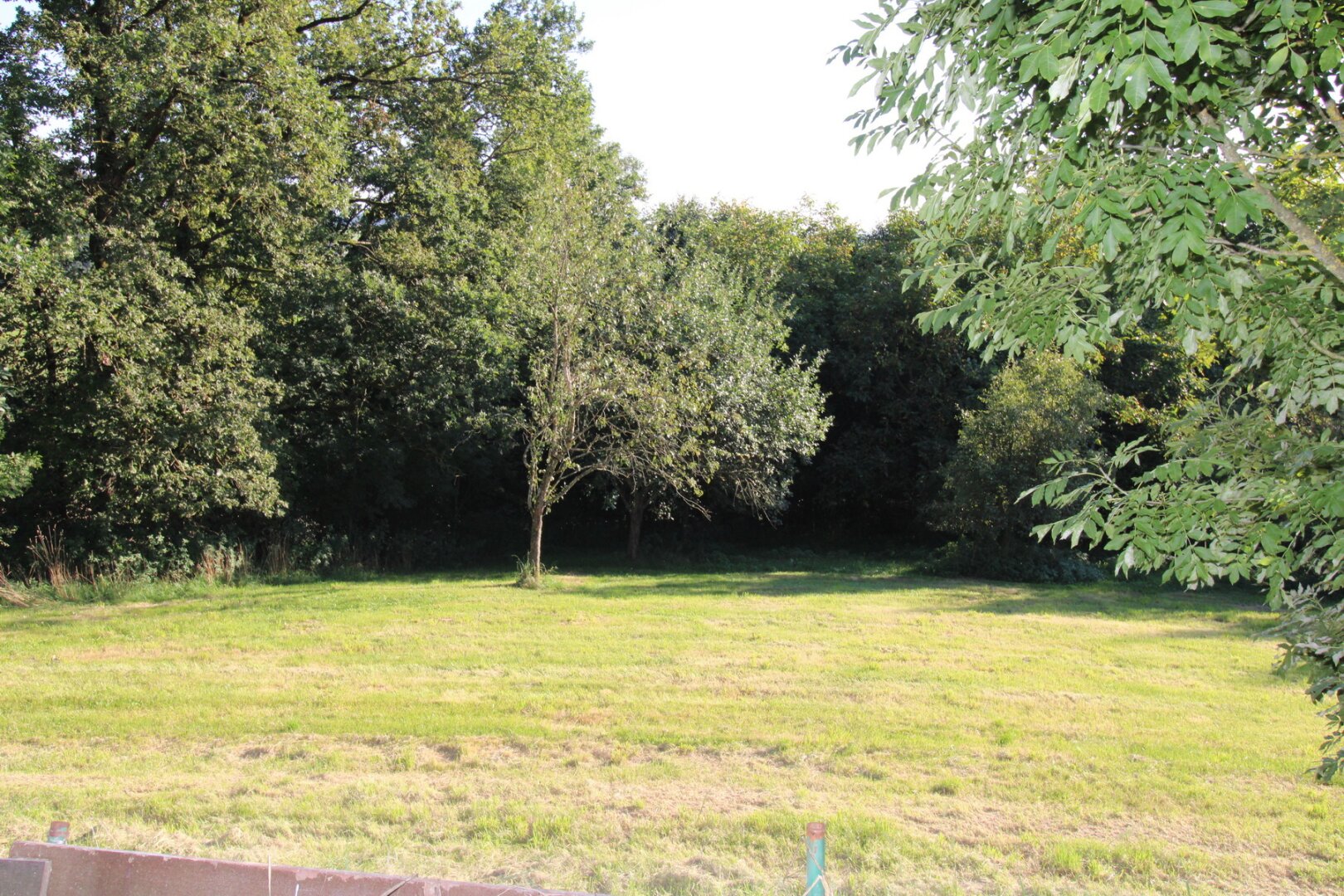 Sacherl/kleine Landwirtschaft in St. Agatha mit ca. 3 Hektar auch für Pferdehaltung geeignet