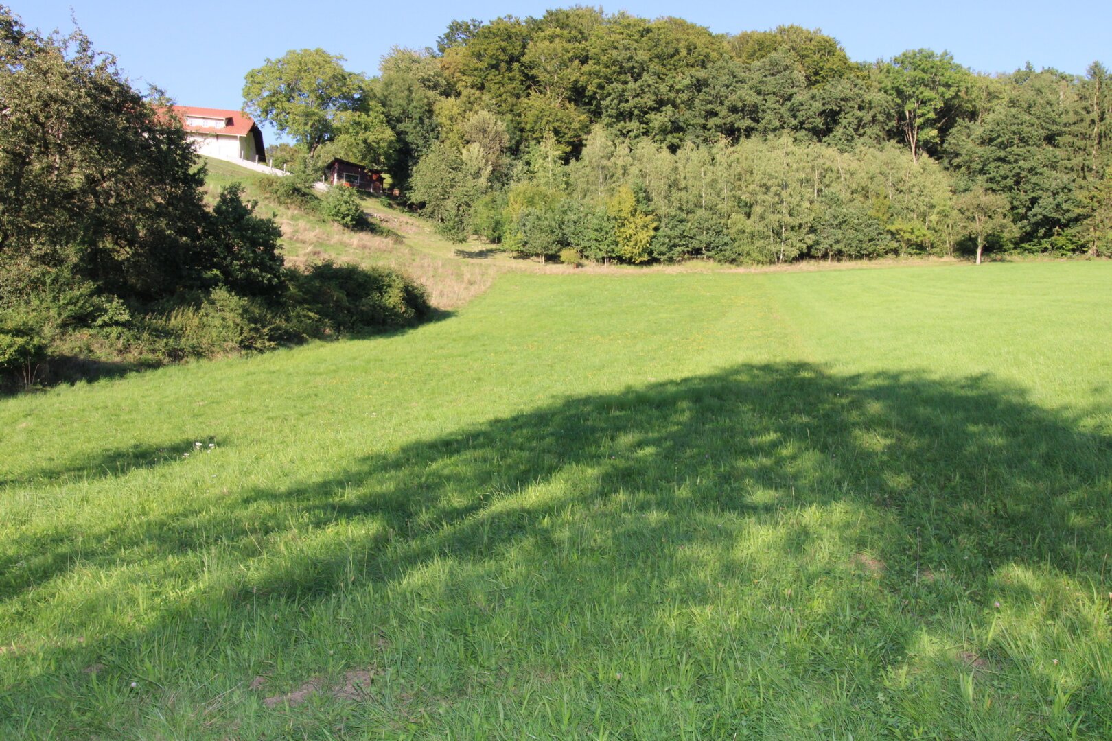 Sacherl/kleine Landwirtschaft in St. Agatha mit ca. 3 Hektar auch für Pferdehaltung geeignet