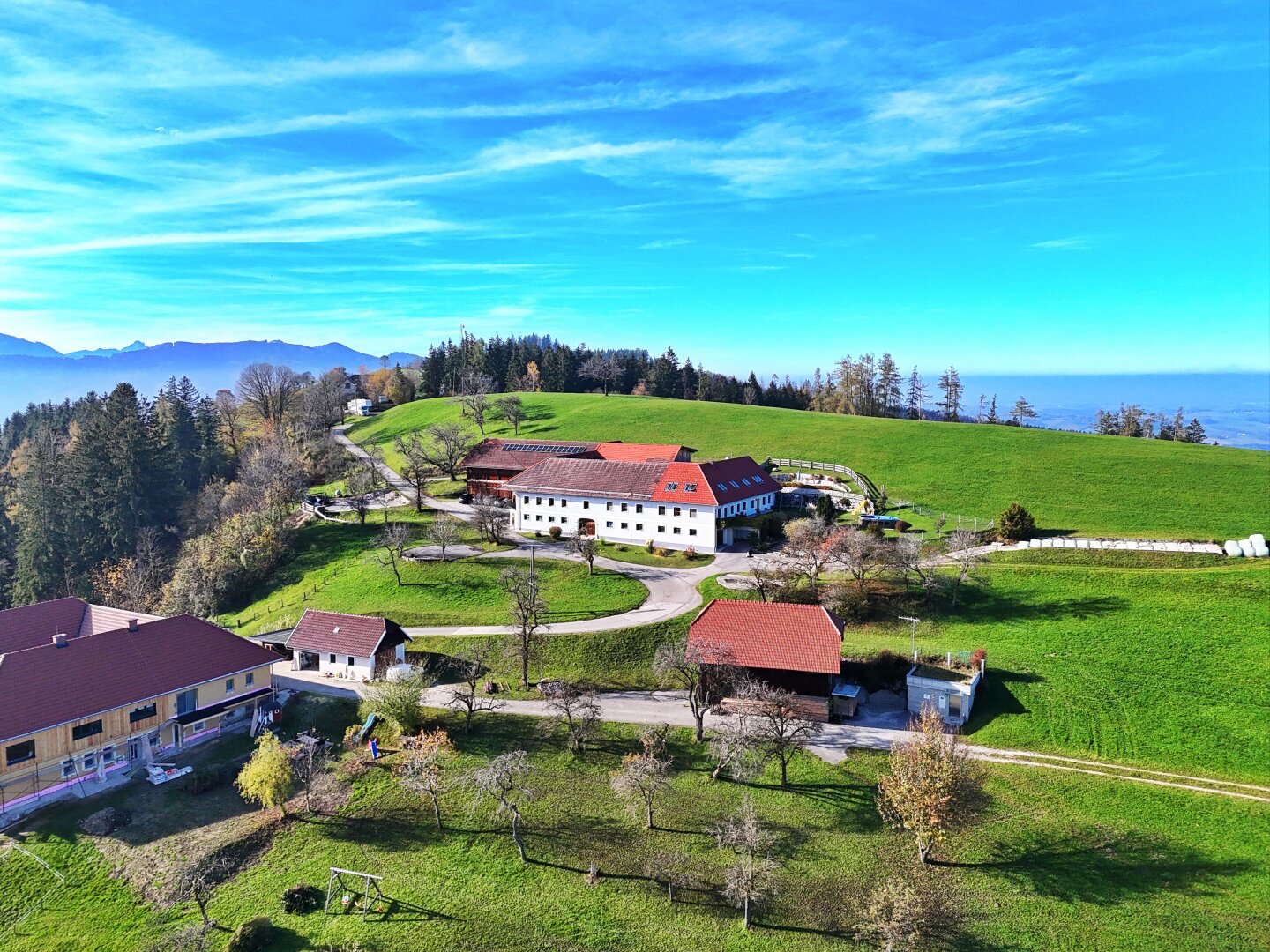 TRAUM-Bauernhof in PREMIUM-LAGE über der Nebelgrenze! Freiheit pur!