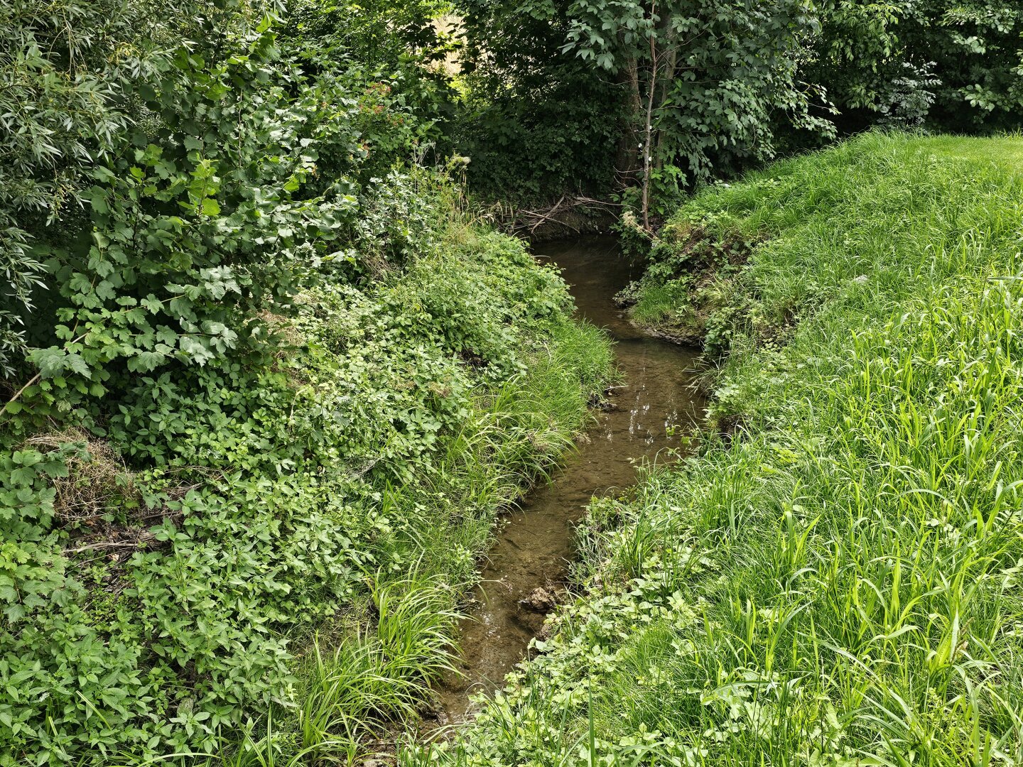 Idyllischer Bach neben dem Objekt