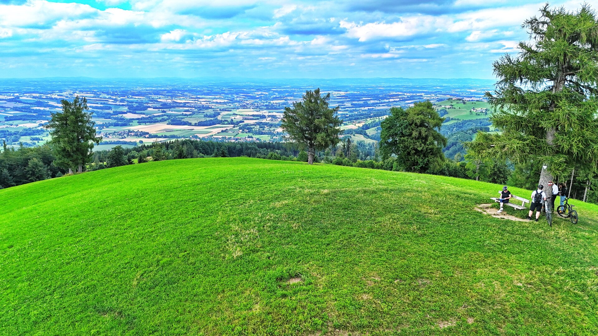 TRAUM-BERG GRILLPARZ im Herzen des Kremstals zum Verkauf! Über der Nebelgrenze!