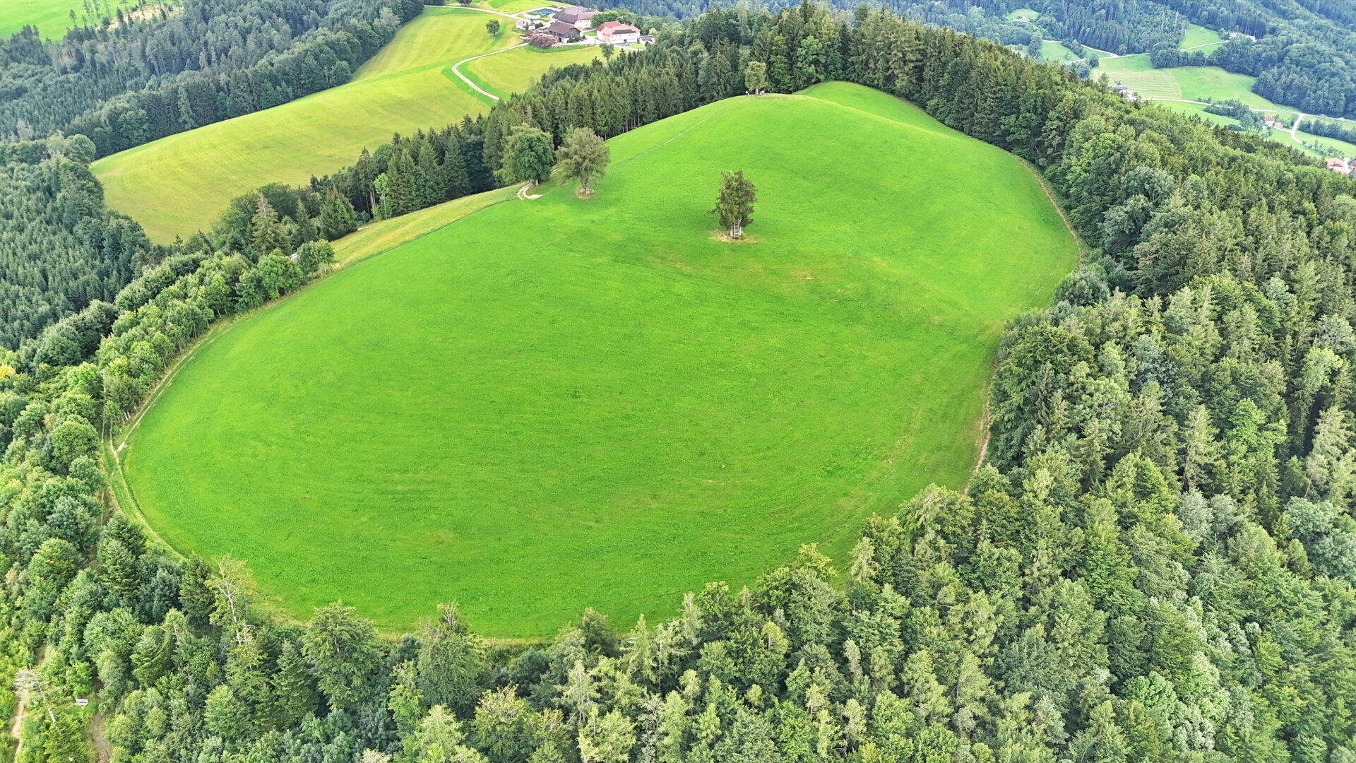 TRAUM-BERG GRILLPARZ im Herzen des Kremstals zum Verkauf! Über der Nebelgrenze!