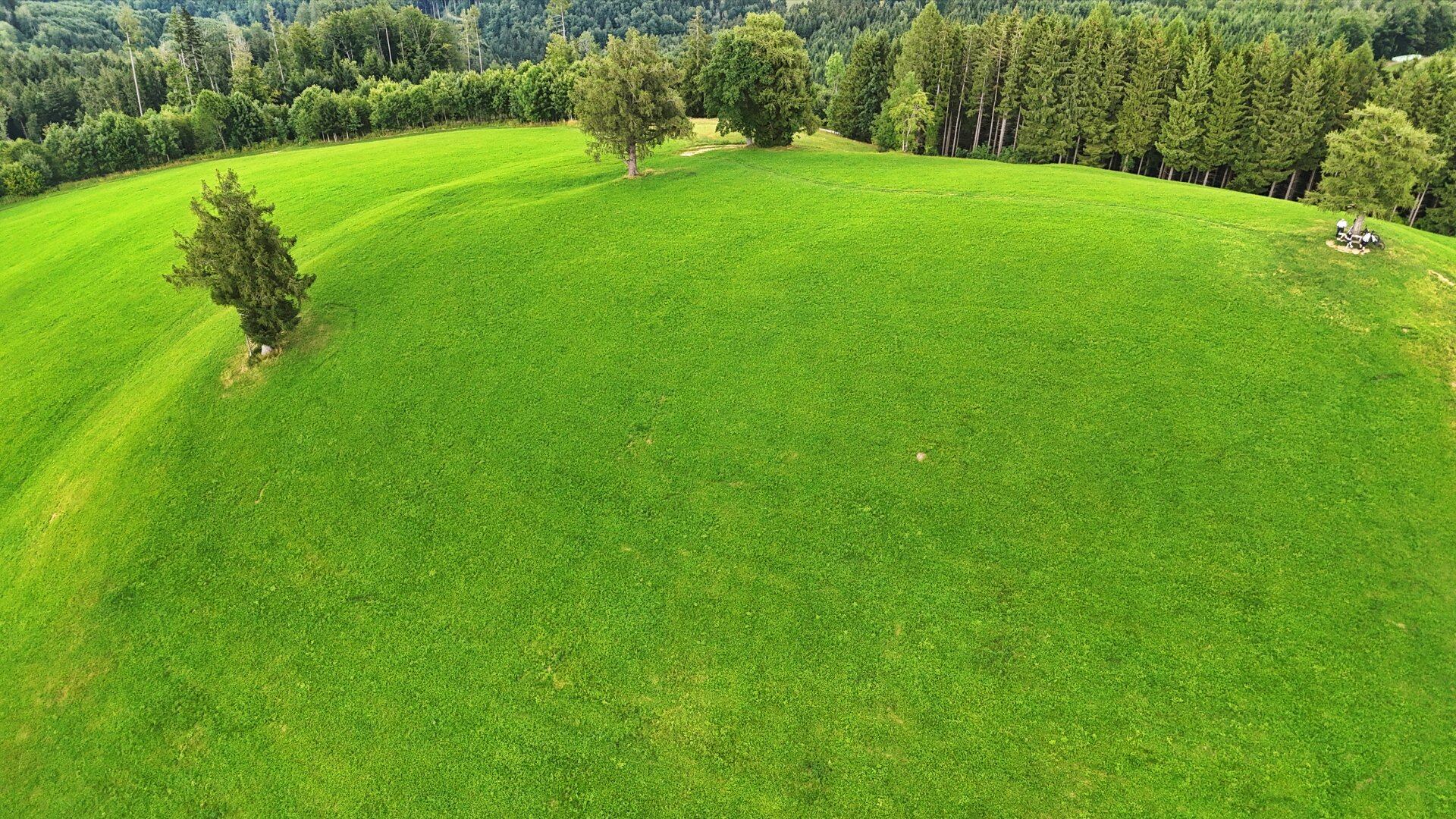 TRAUM-BERG GRILLPARZ im Herzen des Kremstals zum Verkauf! Über der Nebelgrenze!