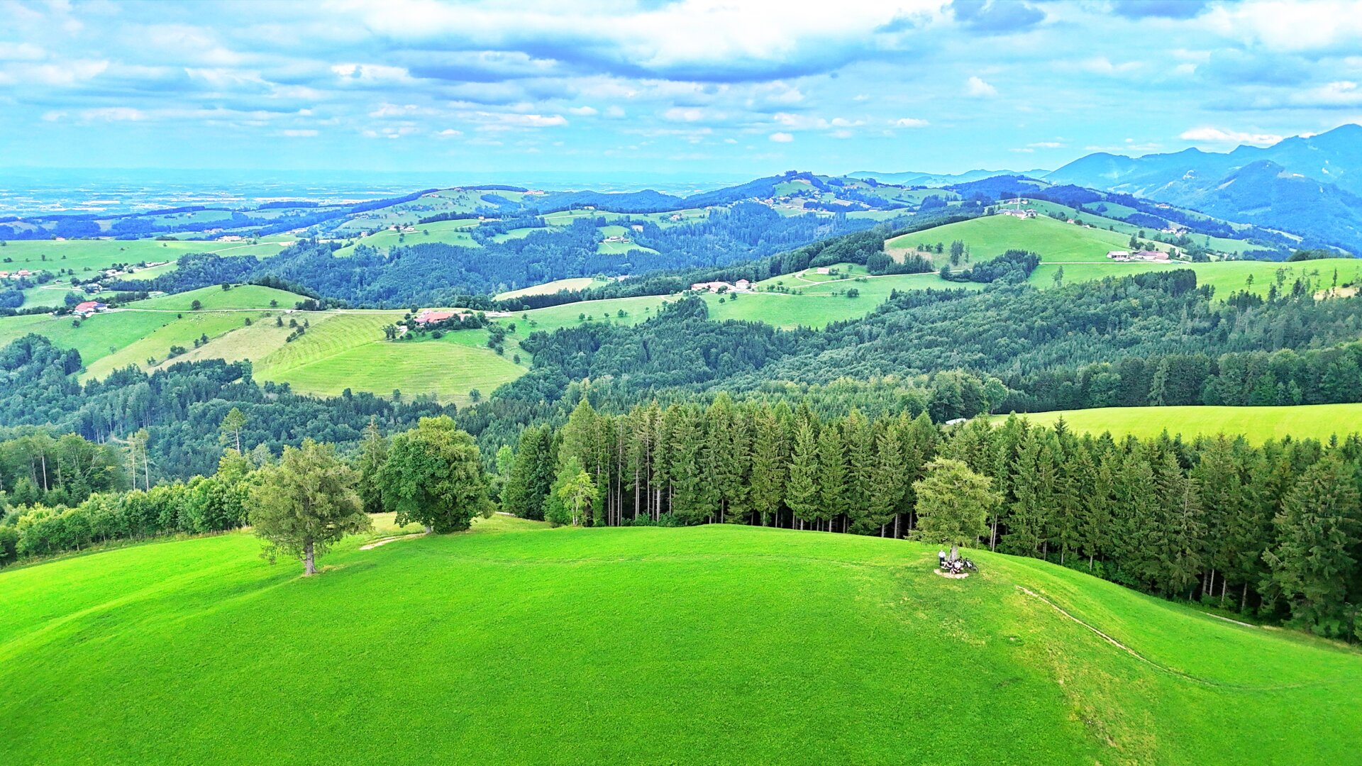 TRAUM-BERG GRILLPARZ im Herzen des Kremstals zum Verkauf! Über der Nebelgrenze!