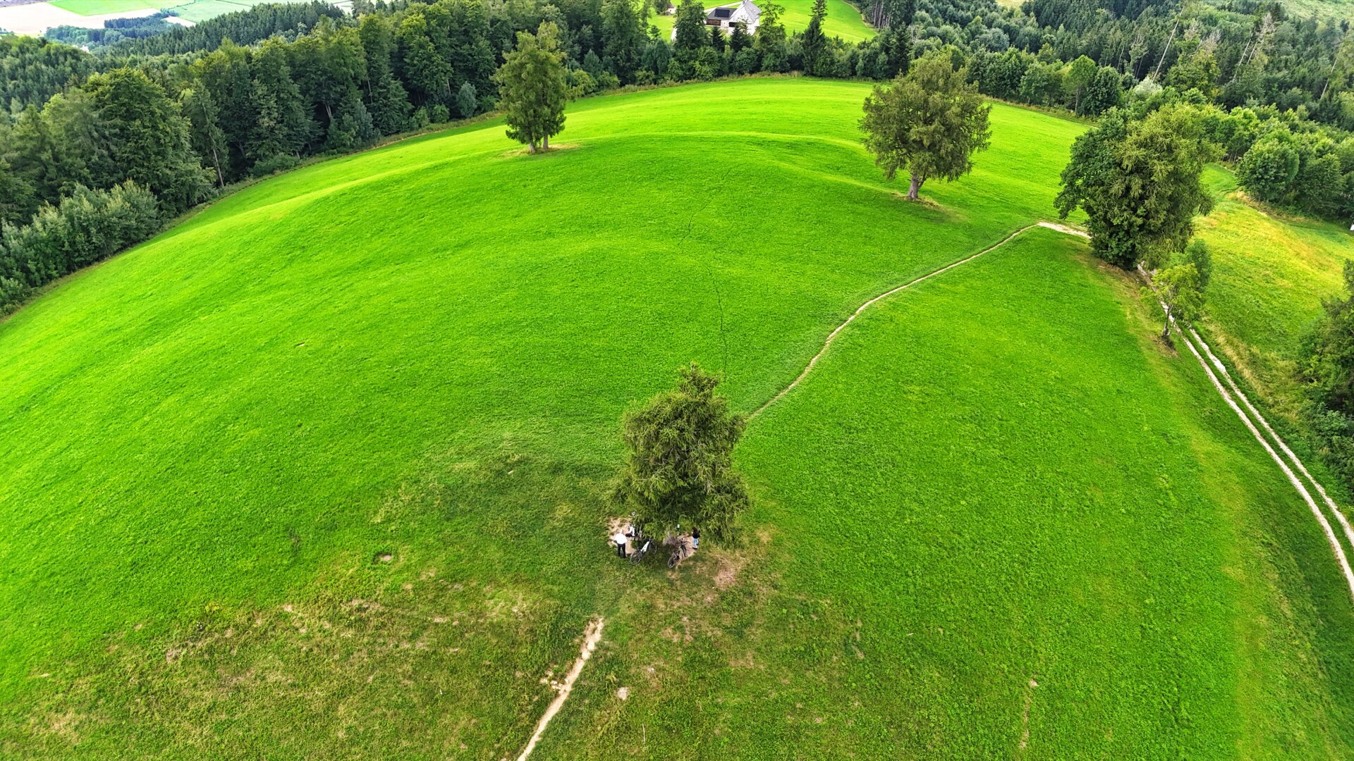 TRAUM-BERG GRILLPARZ im Herzen des Kremstals zum Verkauf! Über der Nebelgrenze!