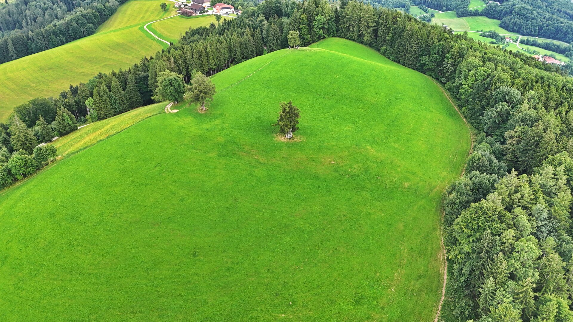 TRAUM-BERG GRILLPARZ im Herzen des Kremstals zum Verkauf! Über der Nebelgrenze!