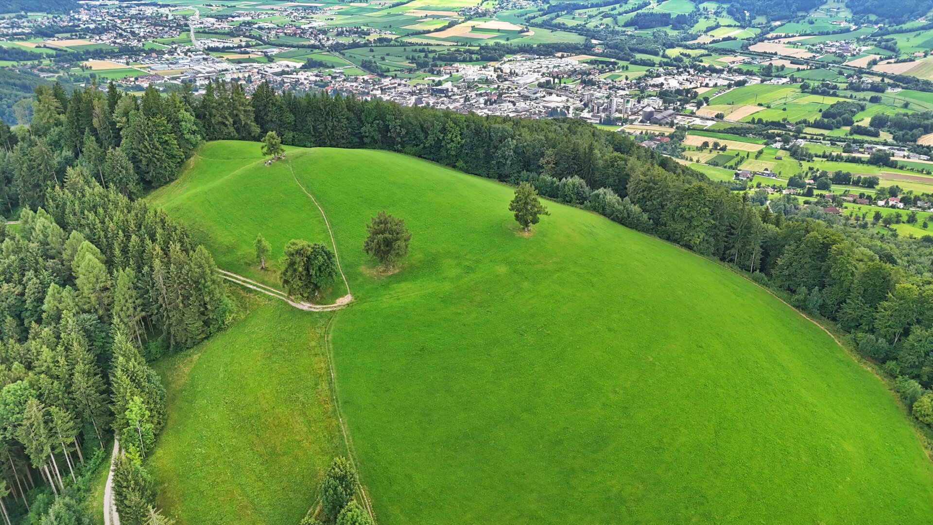 TRAUM-BERG GRILLPARZ im Herzen des Kremstals zum Verkauf! Über der Nebelgrenze!