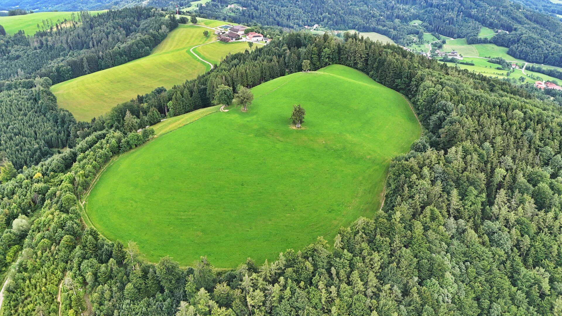 TRAUM-BERG GRILLPARZ im Herzen des Kremstals zum Verkauf! Über der Nebelgrenze!
