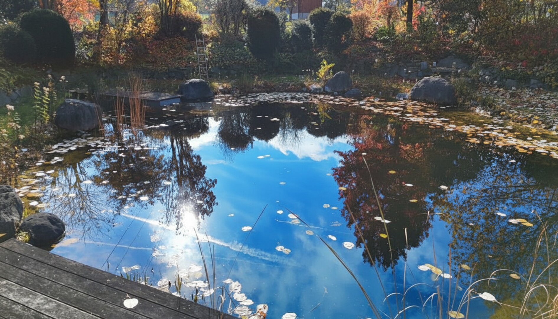 TRAUM-Garten mit Schwimmteich - großes Haus mit 3 Etagen (KG/EG/OG)