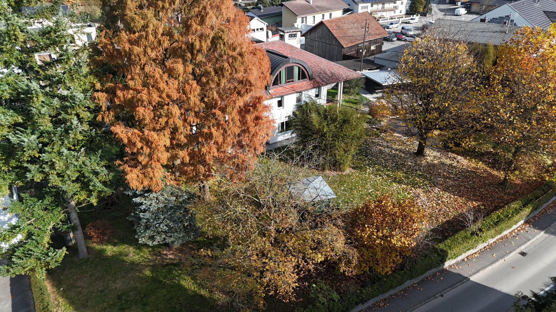 TRAUM-Garten mit Schwimmteich - großes Haus mit 3 Etagen (KG/EG/OG)