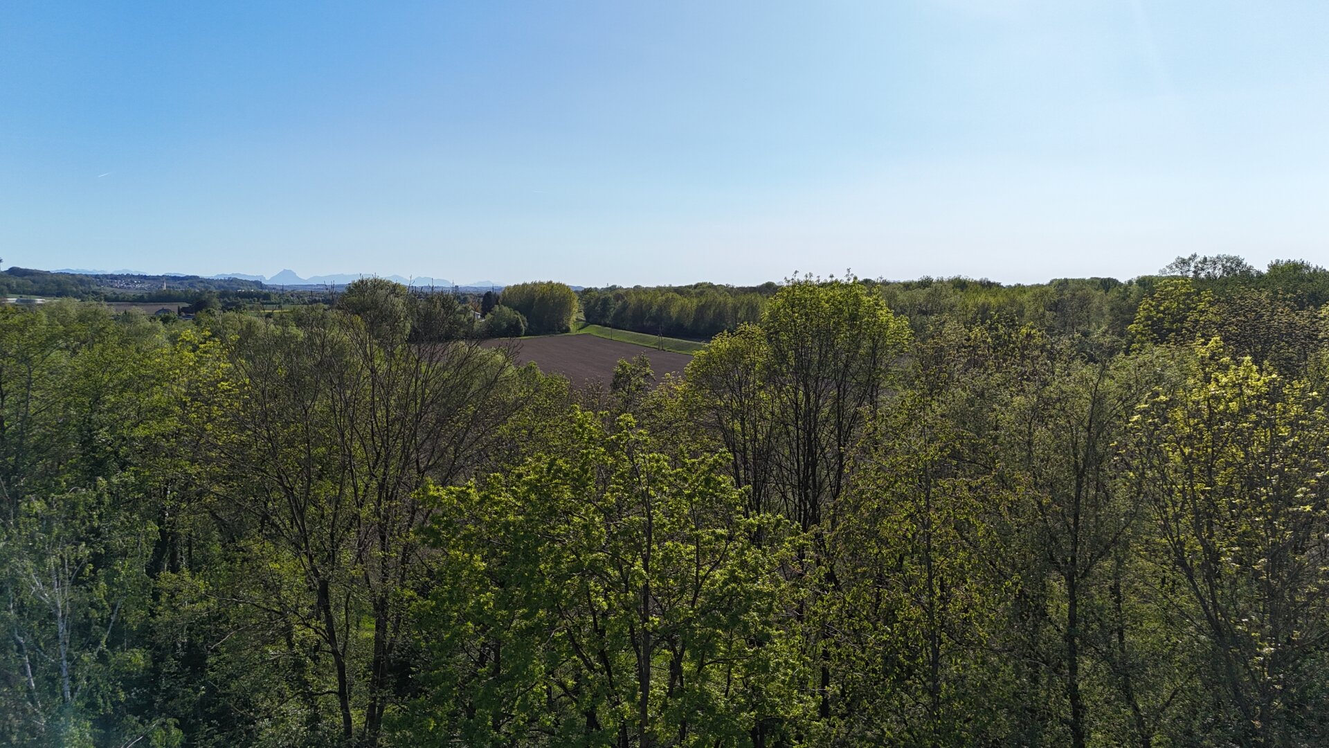 Blick in die Traun-Au hinter dem Haus (Drohnenfoto)