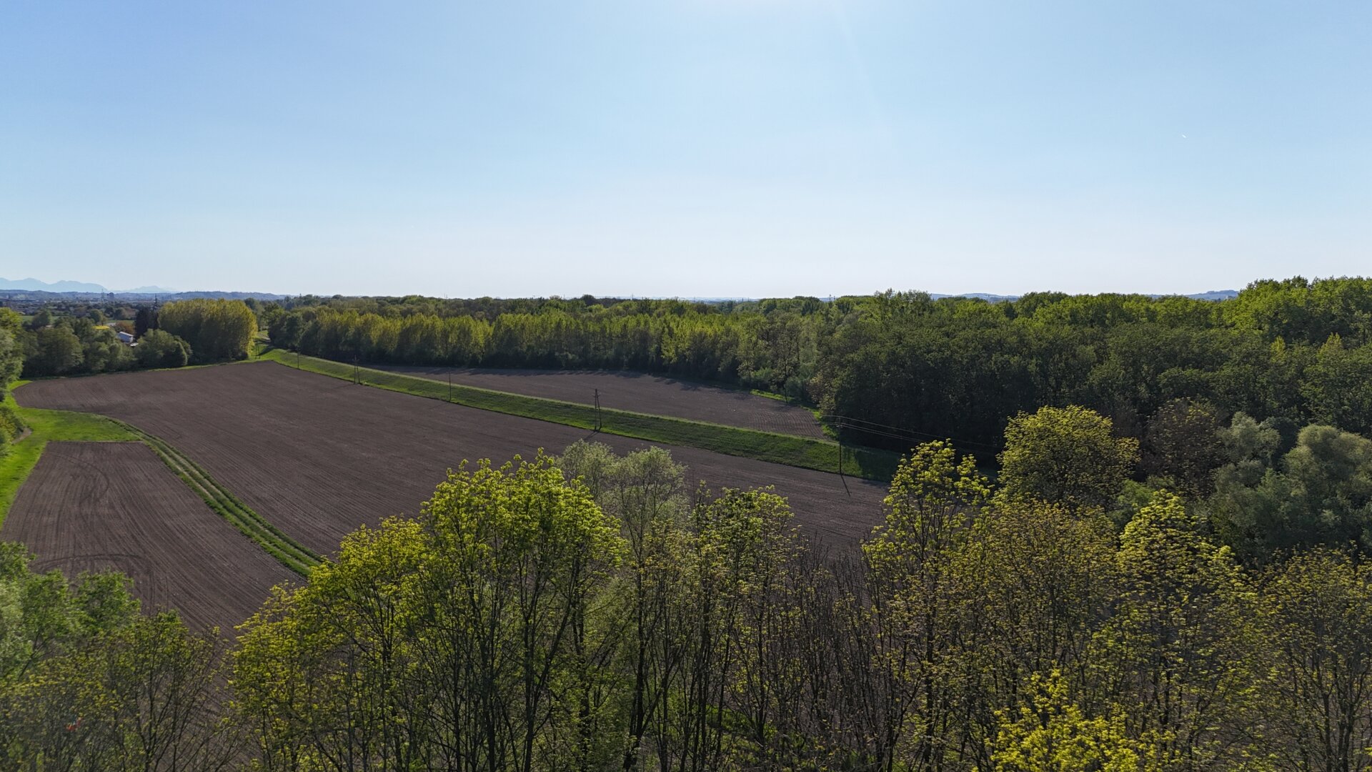 Blick zur Traun-Au / Spazierweg am Damm / Drohnenfoto