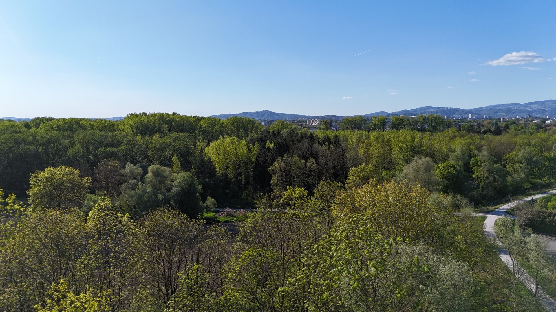 Blick in die Traun-Au hinter dem Haus (Drohnenfoto)