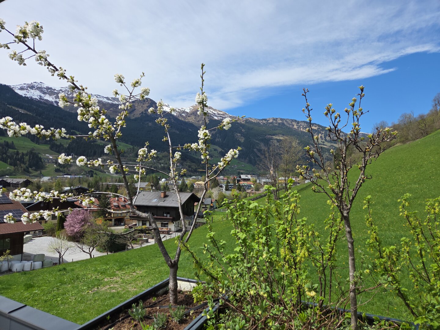 Ausblick von der Terrasse