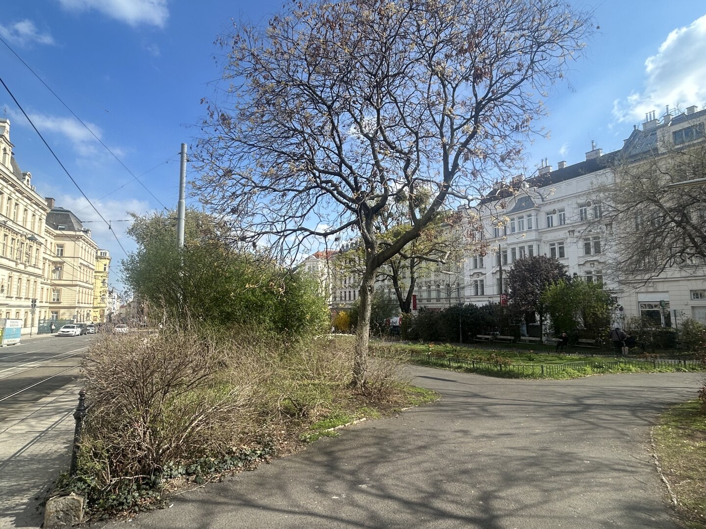 Geschäftslokal direkt am Aumannplatz – vielseitig nutzbar | 1180 Wien