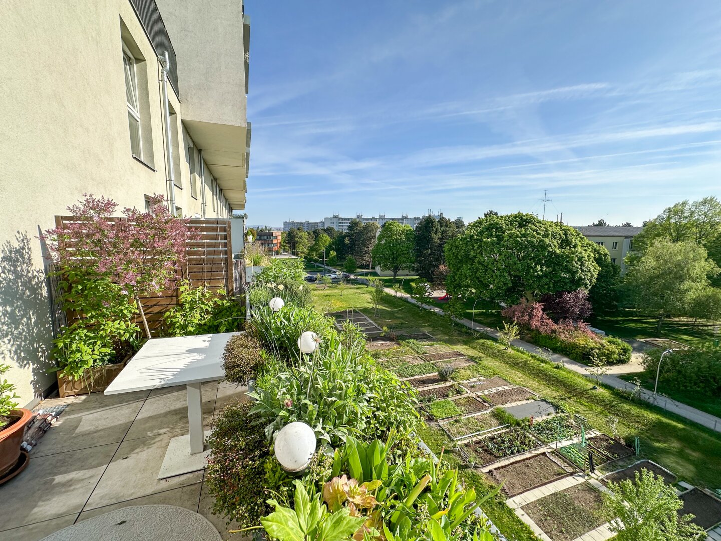 Wenn Weitblick auf Wohngefühl trifft - 3 Zimmer DG - Maisonette mit einzigartigem Balkon