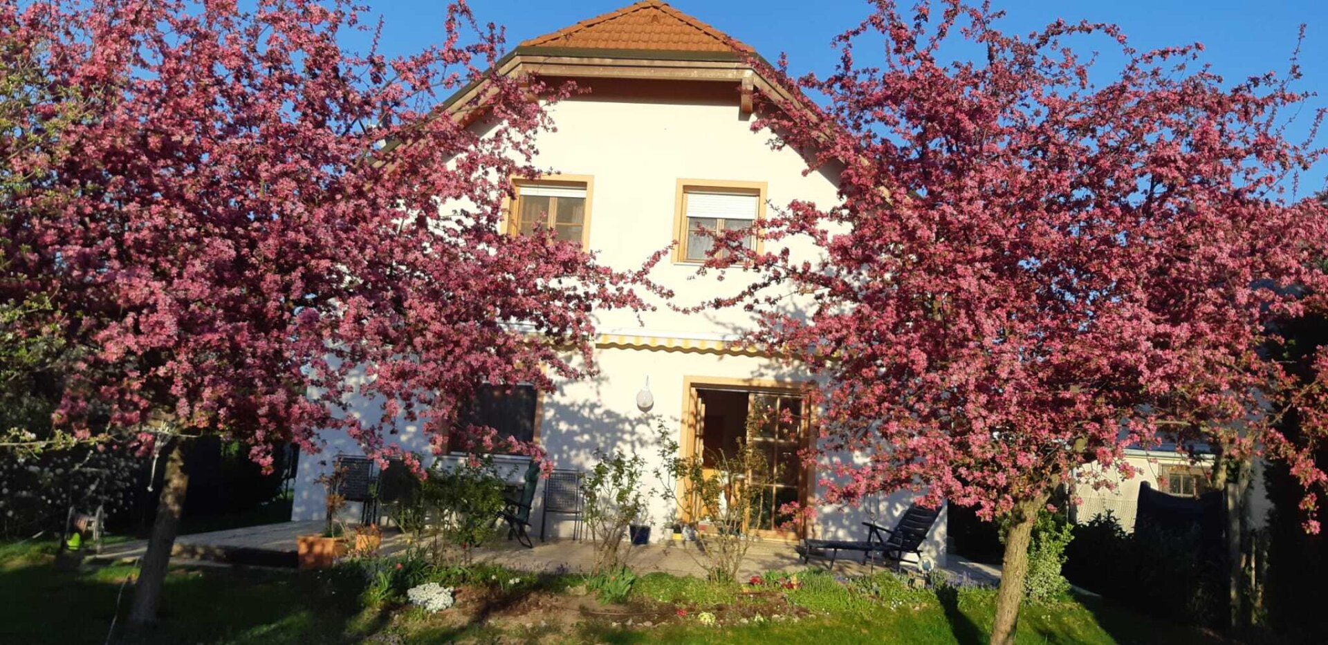 Modernisiertes Einfamilienhaus mit Luftwärmepumpe, Einlegerwohnung und Traumgarten in Essling