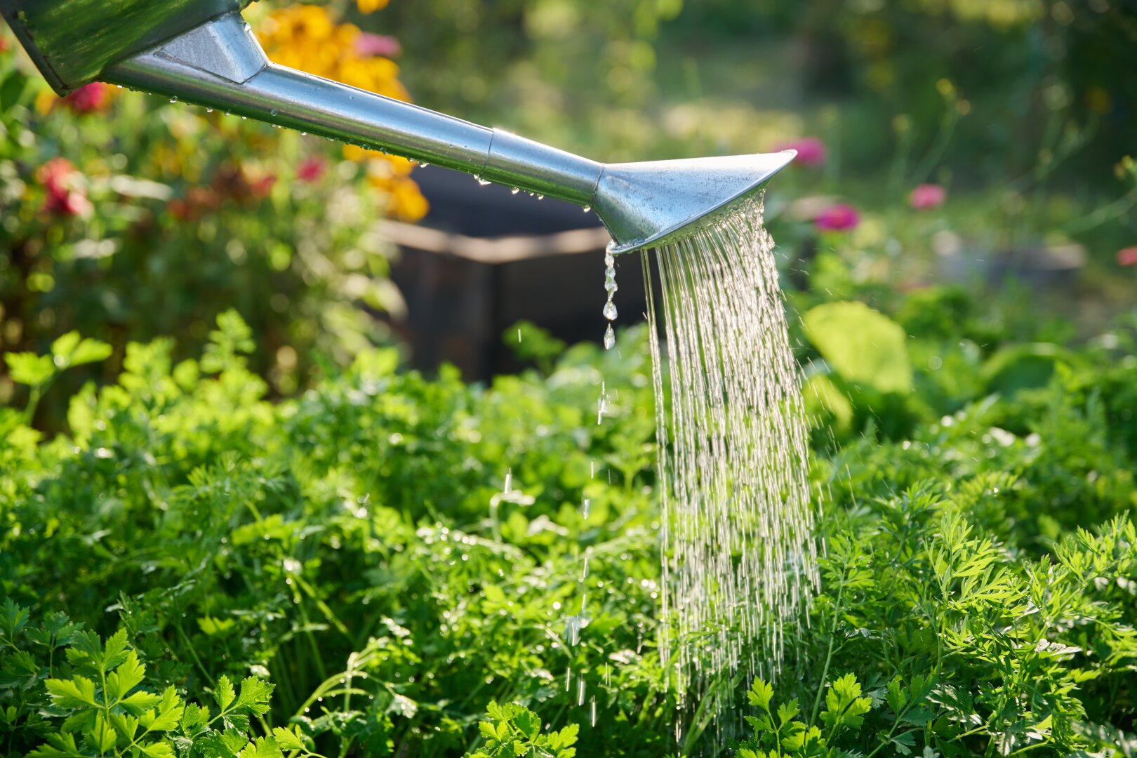 Gemüsegarten / Schrebergarten in Salzburg-Aigen!