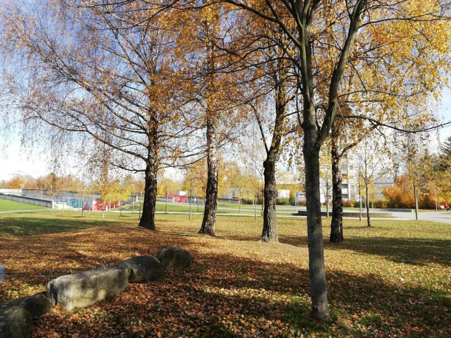 Bellevuepark