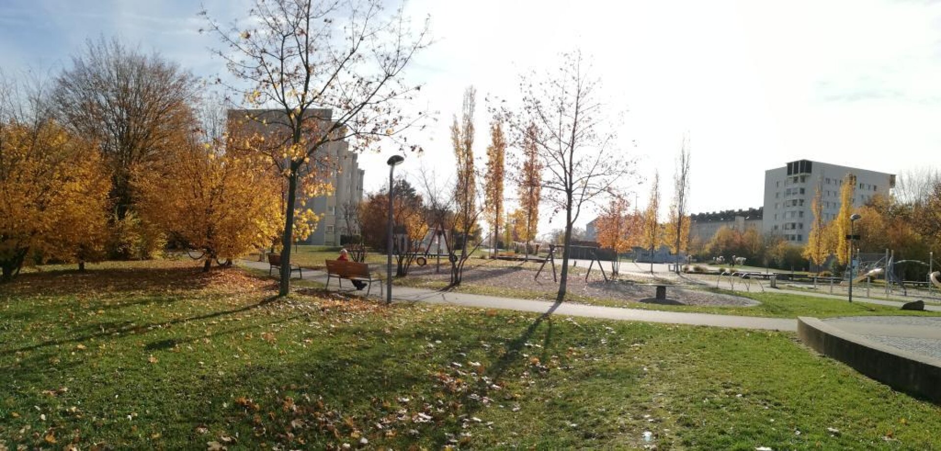 Bellevuepark